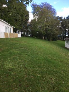 Magnolia Cabin - Housity