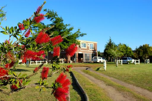 African Adventures Accommodation - Housity