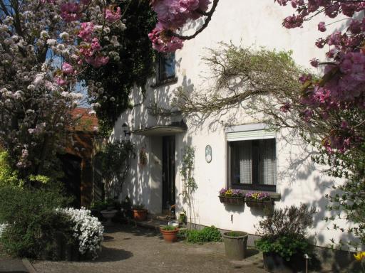 Ferienwohnung Kirschblüte - Housity