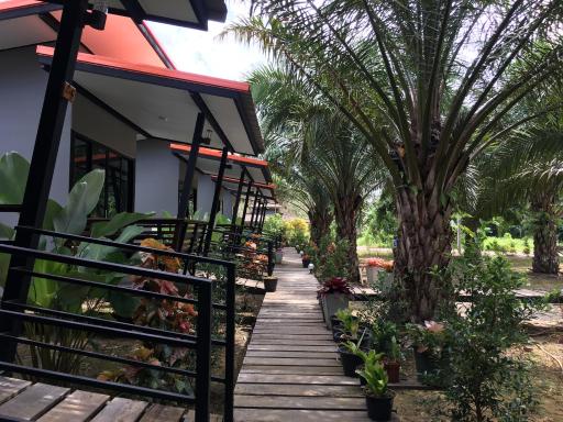 Khao Sok Residence Resort - Housity