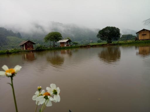 Samoeng fishing park home stay - Housity