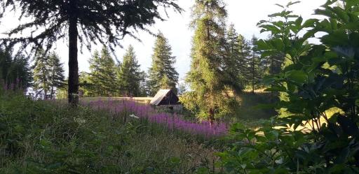 Ubaye Liberty - Housity