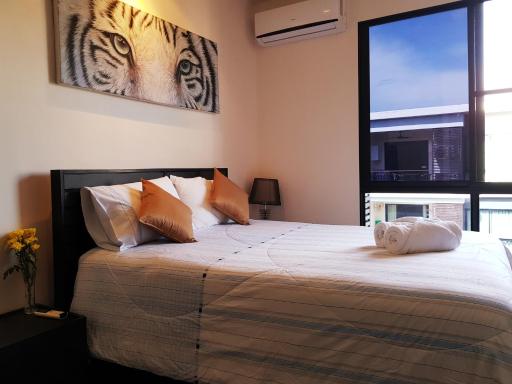 Comfortable Residence - Housity
