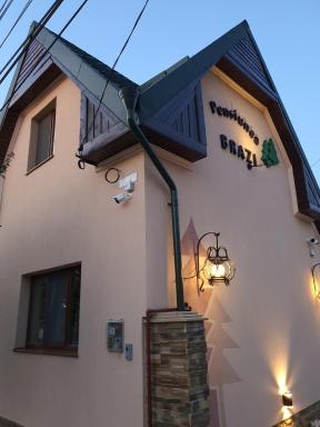 Pensiunea Brazi - Housity