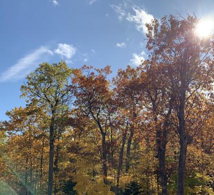 Woodland Lodging - Housity
