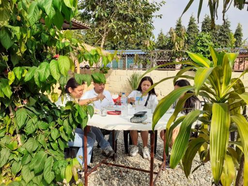 Hotel Tiger Tops Sauraha - Housity