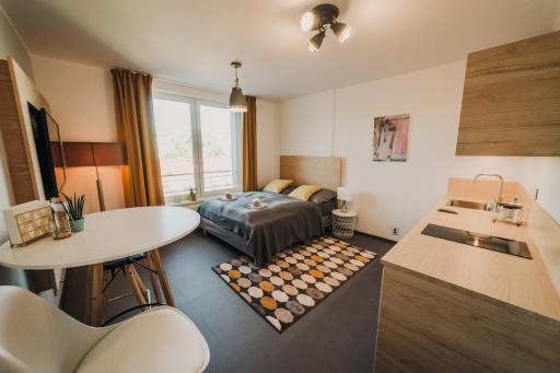 Beautiful new studio, 400m from the square - Housity