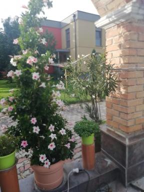 Haus Maria - Housity