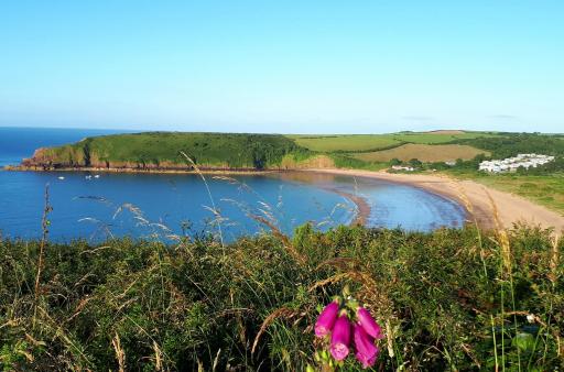A Beach Holiday in Pembrokeshire - Housity