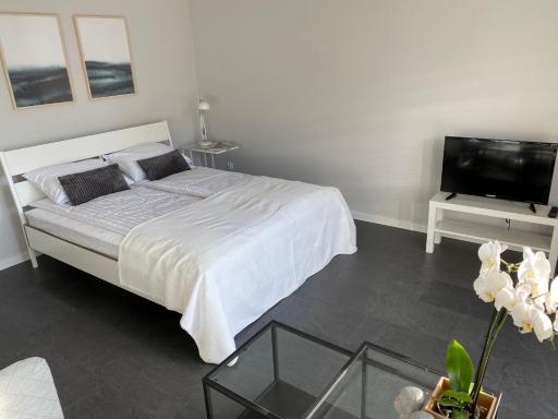 APARTAMENT ŚMIAŁEGO 9 - Housity