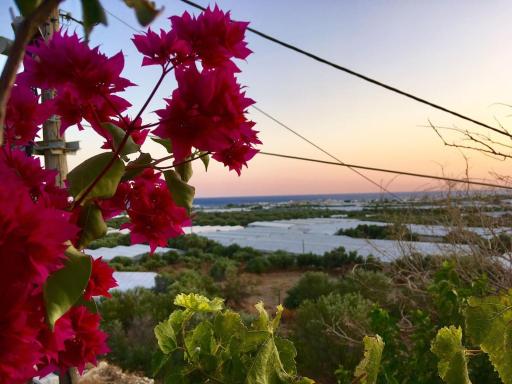 Stunning View Studio in Countryside in Crete - Housity