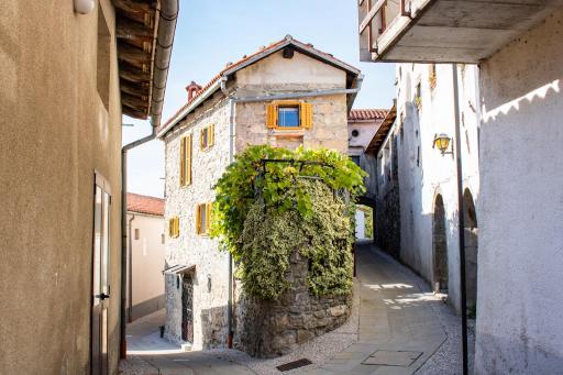 Apartment VILLA IRENA Great For a Family Holiday With Free Parking And EV Station - Housity