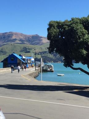 Apartment 65 Akaroa - Housity