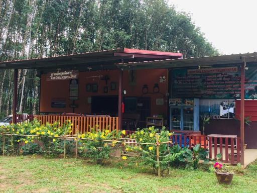 Khao Sok Evergreen House - Housity