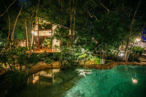 Nahouse Jungle Lodges - Housity