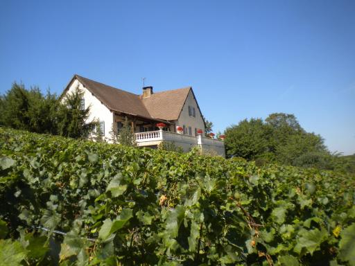 Le Mont Laurent - Housity
