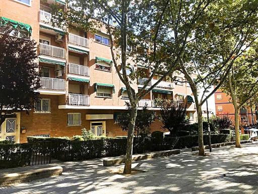 Travel and Holidays La Marina - Housity