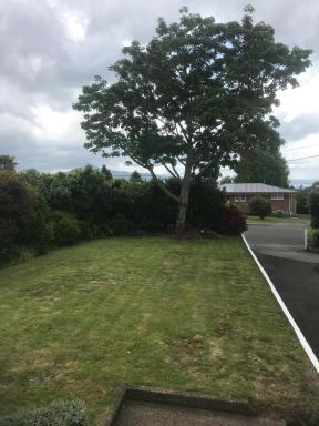 ROTORUA EASTSIDE APARTMENTS - Housity