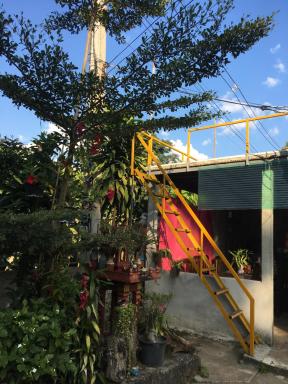 Thong Family Homestay Chiangdao - Housity