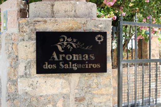 Aromas dos Salgueiros - Housity