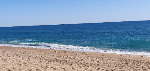 Mediterraneo Euroviajeros Room - Housity