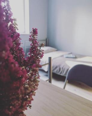 Lawendowy Hostel Wrocław - Housity
