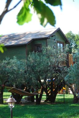 Palazzo Conforti Tree House Resort - Housity