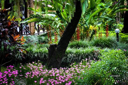 Bardia Wildlife Resort - Housity