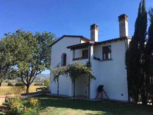 La luna e i falò - Housity