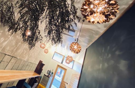 HOTEL&HOSTEL HARU - Housity