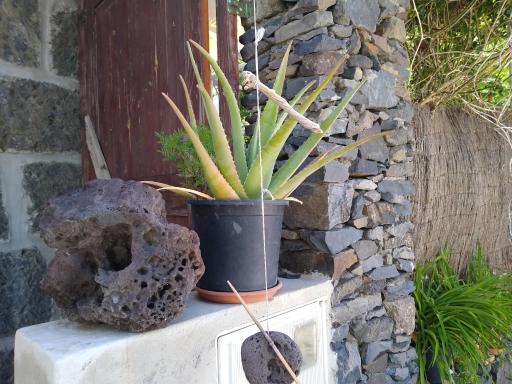 Casa Gio - Housity