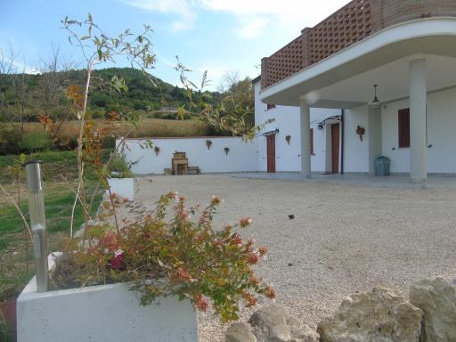 il pettirosso - Housity