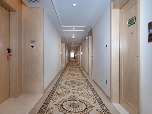 Vienna Hotel (East Plaza of WuHan High-Speed Railway Station) - Housity