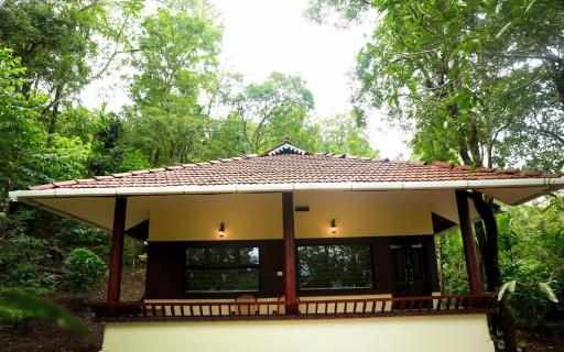Green Garden Lotus - Housity