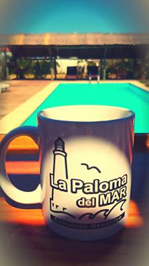 La Paloma del Mar - Housity