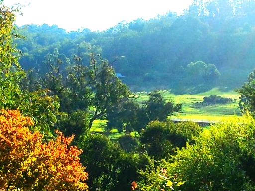 Brookvale House Balingup - Housity