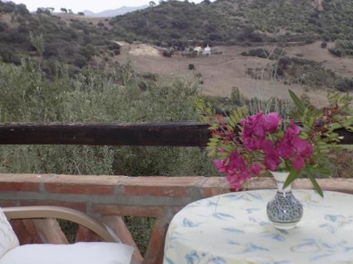 Los algarrobos - Housity