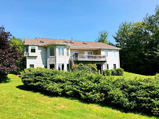 Lily's garden - Housity