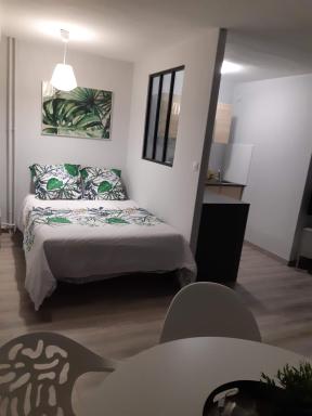 Jungle - Housity