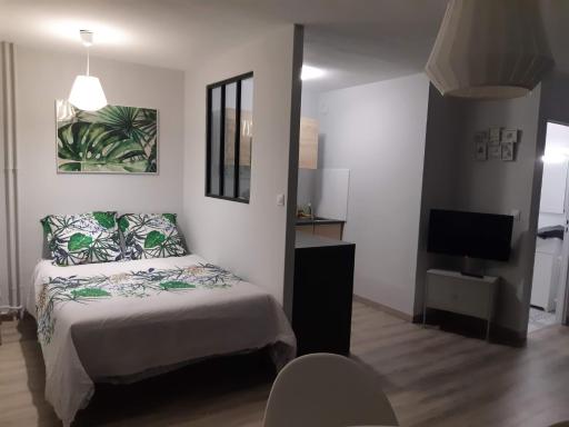 Jungle - Housity