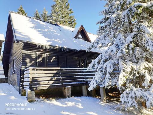 Tree Top Rogla Apartment - Housity