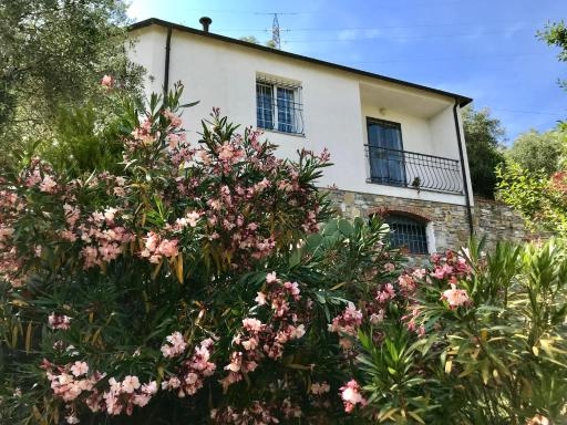 Casa Mediterraneo - Housity