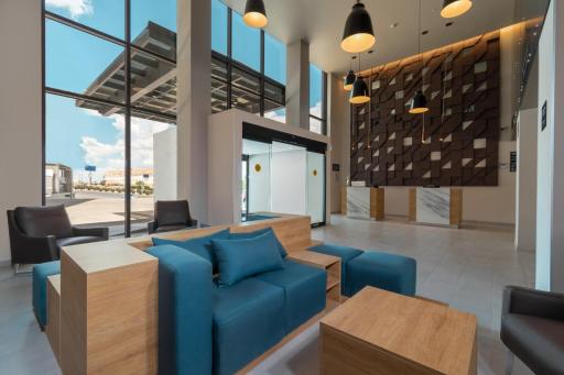 Highland Chihuahua - Housity