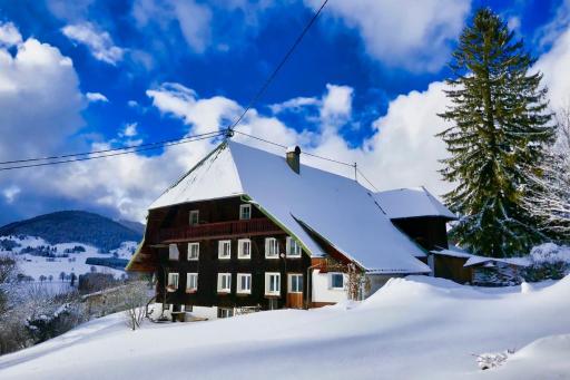 Echtes Schwarzwaldhaus - Traditionell & Modern - Housity