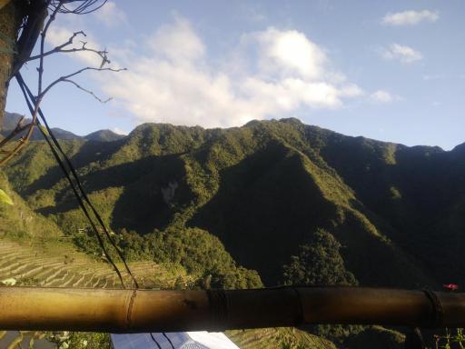 Ramon's Homestay - Housity