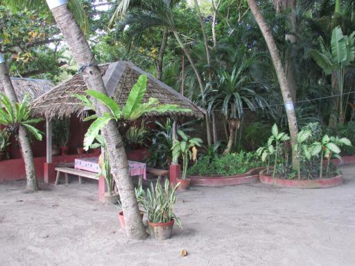 Felipa Beach and Guesthouse - Newly Renovated Airconditioned Guest Rooms - Housity