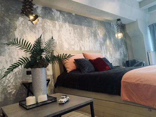 Studio lux Loft on Victory street in the City Center - Housity