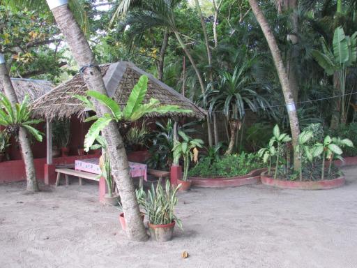 Felipa Beach and Guesthouse - Gumamela - Housity