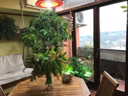 Sole e fiori - Housity