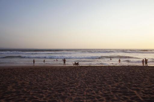 Dua Rumah Canggu Bali - Housity